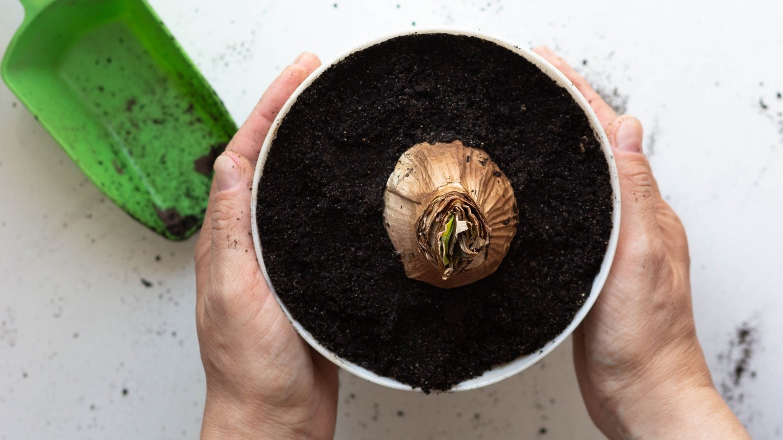 Hands carefully position a round base over a pot filled with fresh soil, ready for planting.